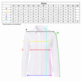 Women's formal blouse 04 sizes