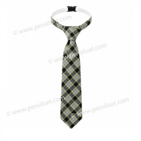 Tie 09 - uniform Pencho Slaveykov Krichim
